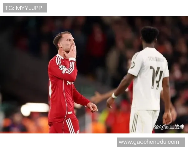 德甲焦点战热刺小胜利物浦争议判罚引发全场热议